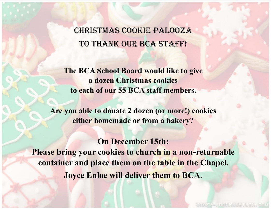 Christmas Cookie Palooza